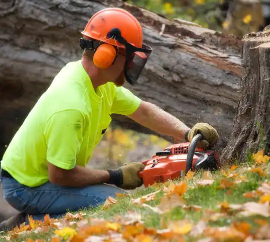 tree services Lordstown